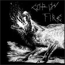 Cop on Fire, discography -LP