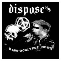 Dispose/Infekzioa - split LP