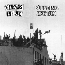 Fleas and Lice / Bleeding Rectum, split LP