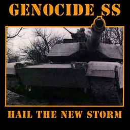Genocide Superstars, Hail the new storm - LP