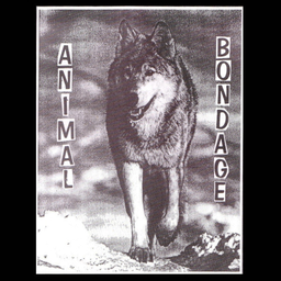 Animal Bondage / Fierce - Split - LP