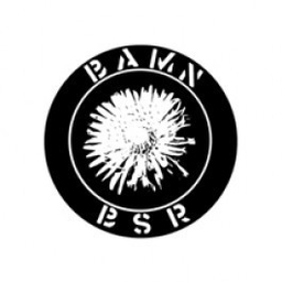 BAMN / Black Star Rising - Split - LP