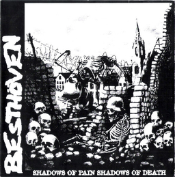 Besthöven / Alternate System - Shadows Of Pain Shadows Of Death - 7"