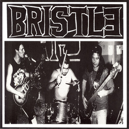 Bristle - The System - 7"