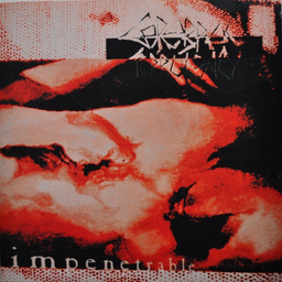 Cerebral Turbulency - Impenetrable - LP