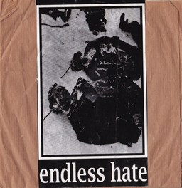 Endless Hate - S/T - 7"