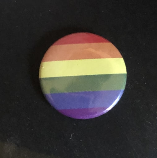 Pride 1” pins