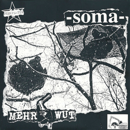 Soma / Mehr Wut - Punkplatte - 7"