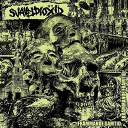 Svaveldioxid, Fr​ä​mmande Samtid Str​ä​mmande Framtid - 10"