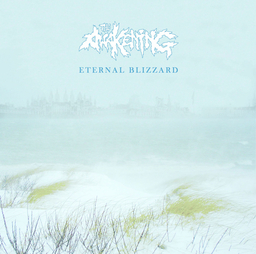 The Awakening - Eternal Blizzard - LP
