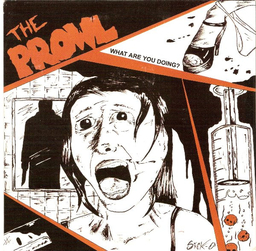 The Prowl - What Are You Doing? - 7"