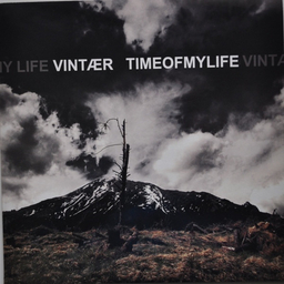 Time Of My Life / Vintær - Split - LP