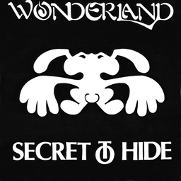 Wonderland - Secret To Hide - 7"